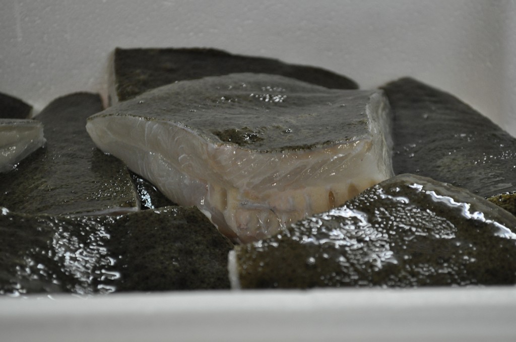 PAVES 3